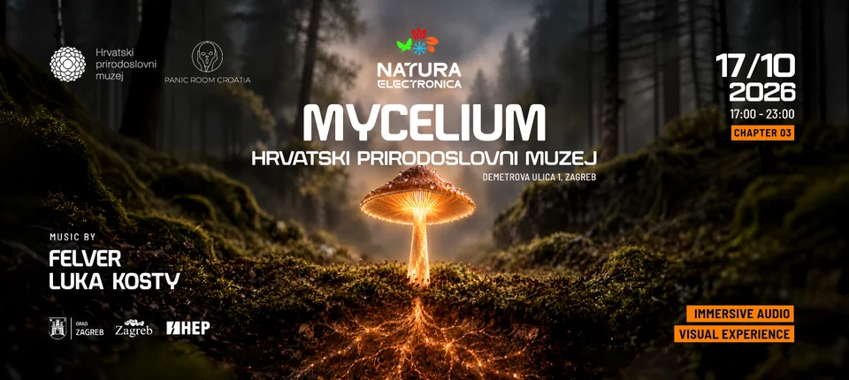 NATURA ELECTRONICA III - Mycelium (2 / 2)