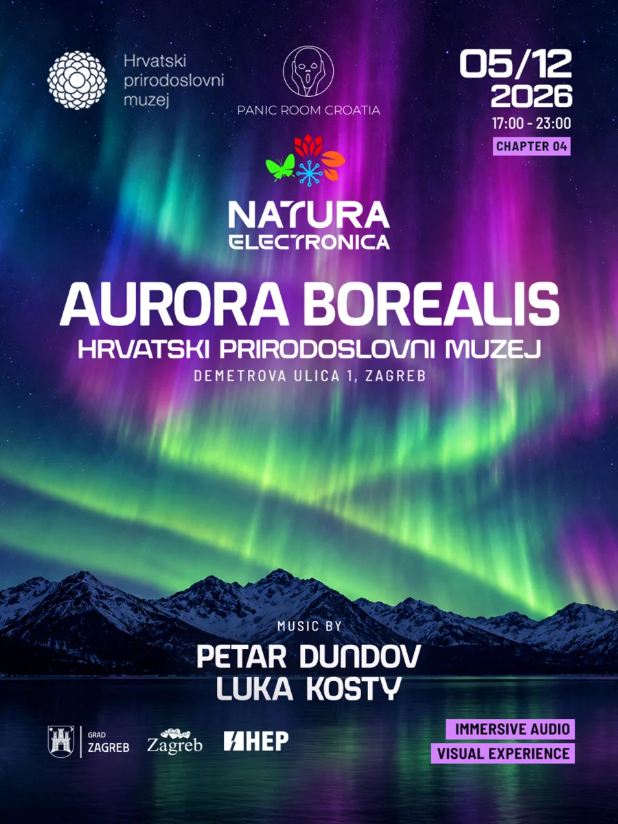 NATURA ELECTRONICA IV - Aurora Borealis (2 / 2)