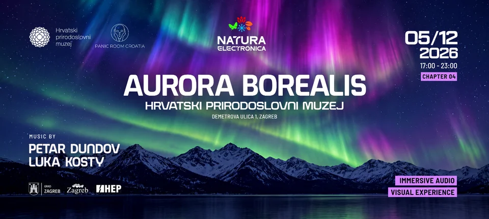 NATURA ELECTRONICA IV - Aurora Borealis