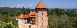 Dnevna ulaznica - Stari grad Dubovac