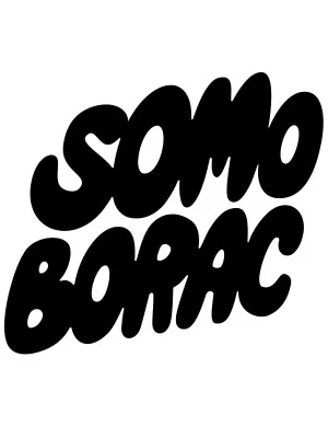 SoMo Borac powered by Aleph (2 / 2)